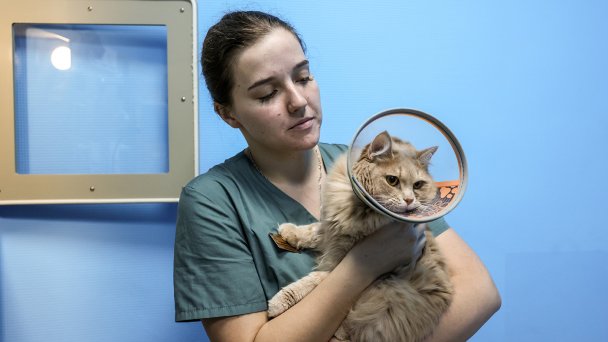 Фото Александра Река / ТАСС