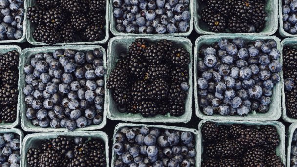 Фото: Kier in Sight Archives / Unsplash