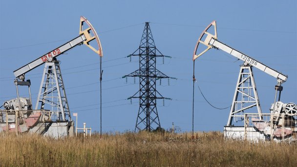 Фото Егора Алеева / ТАСС