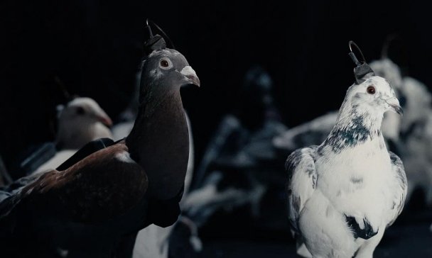 Фото Пресс-служба Neiry