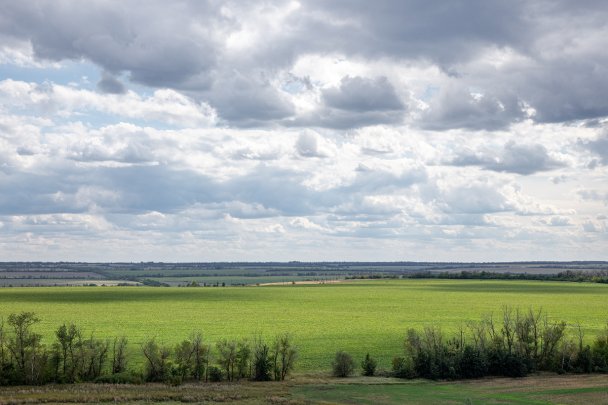 Фото Валерия Нистратова для Forbes