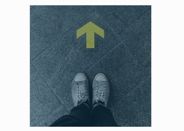 Фото: Школа управления СКОЛКОВО