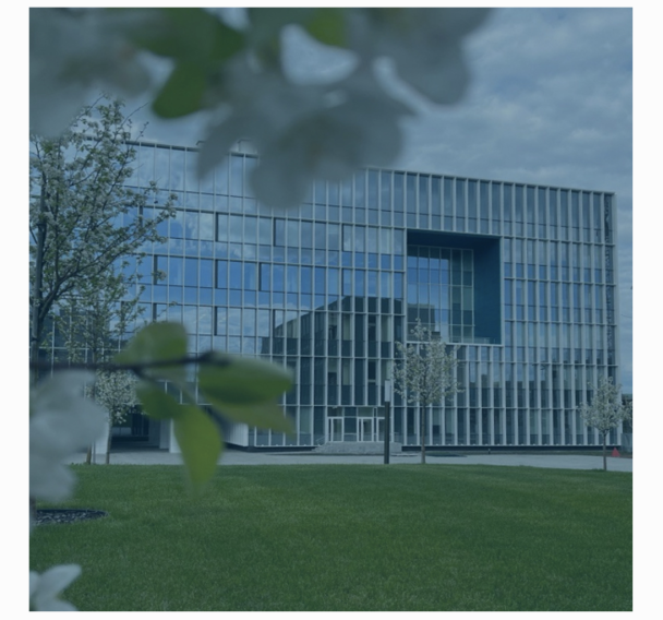 Фото предоставлено Альметьевским государственным нефтяным институтом