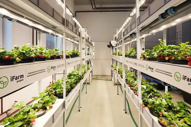 iFarm