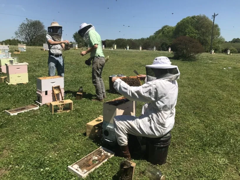 341fc73ac3518e32b6ad8ac3f6b58e6c 676eb2054864b word3 Vaccine for the bee: How a science startup is helping honey producers