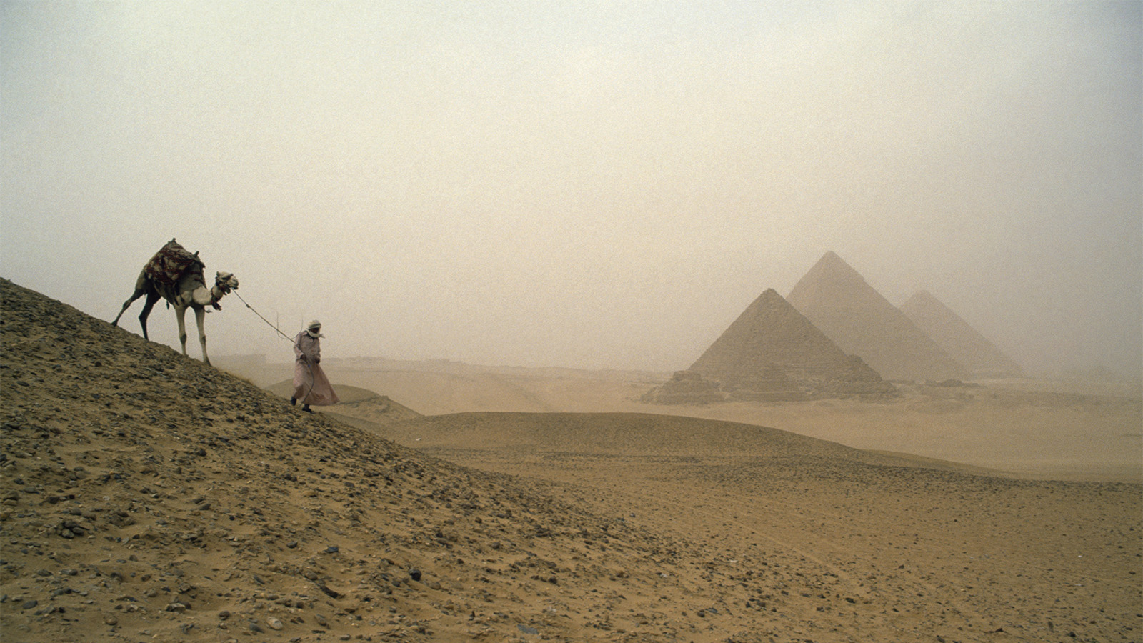 Раннее бронирование туров на 2024 — 2023 год в Египет