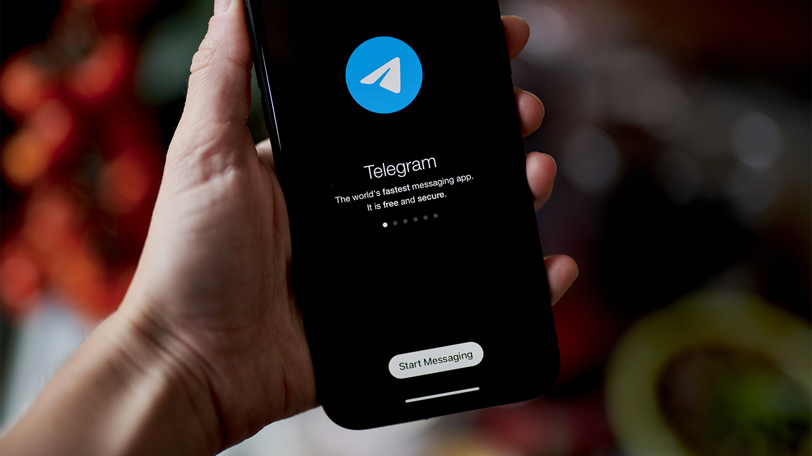 Сбер» и «Яндекс» могут начать рекламироваться в Telegram | Forbes.ru