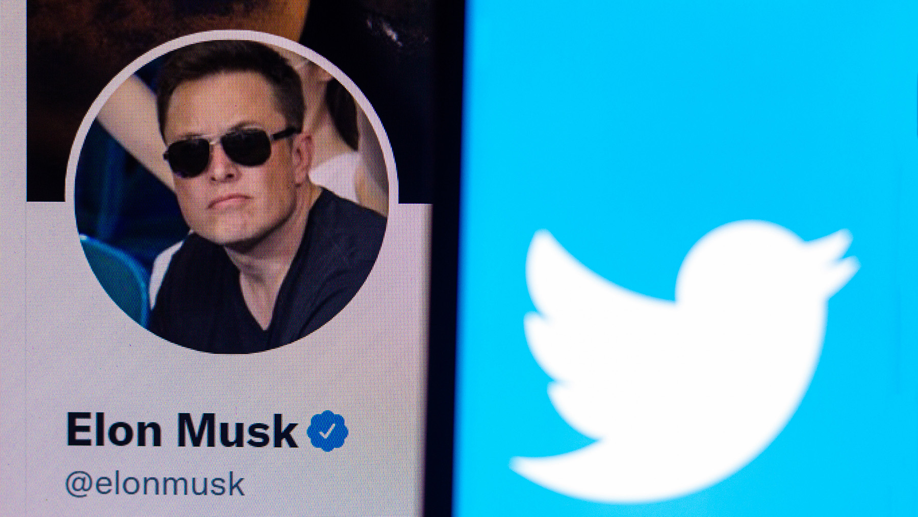 Акции Twitter подорожали на 12% после предложения Маска выкупить компанию |  Forbes.ru