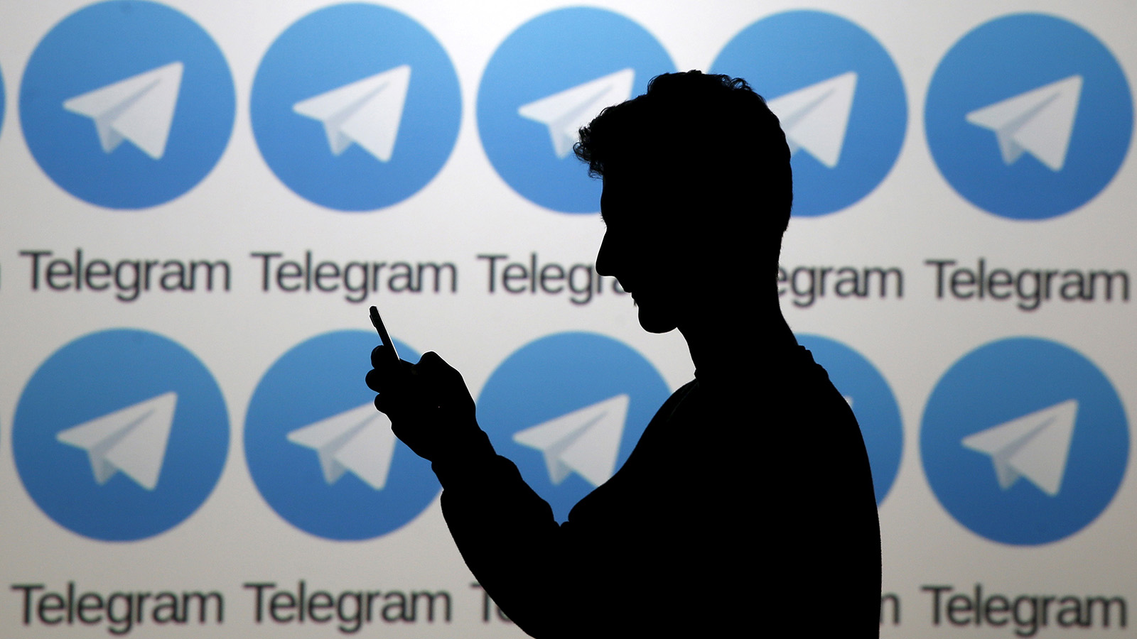 Premium-доступ: сколько средств нужно Telegram на свои расходы | Forbes.ru