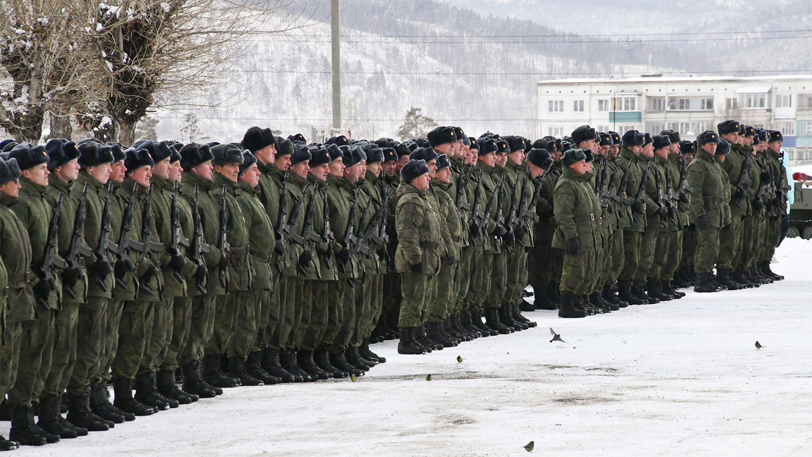 Частичная поддержка: как мобилизация повлияла на российское общество |  Forbes.ru