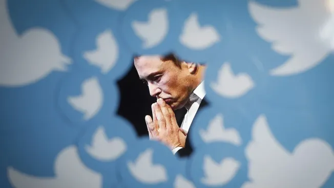 Владелец Twitter Илон Маск устроил опрос по поводу отставки с поста главы соцсети