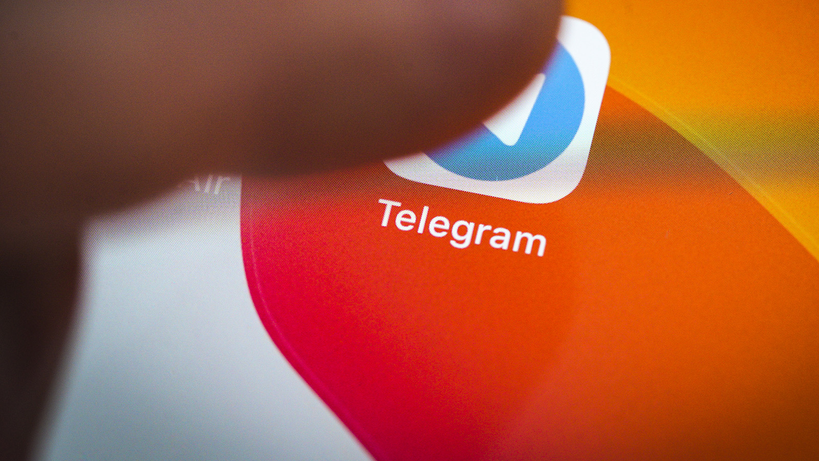 Аудитория русскоязычных каналов в Telegram выросла вдвое за 2022 год |  Forbes.ru