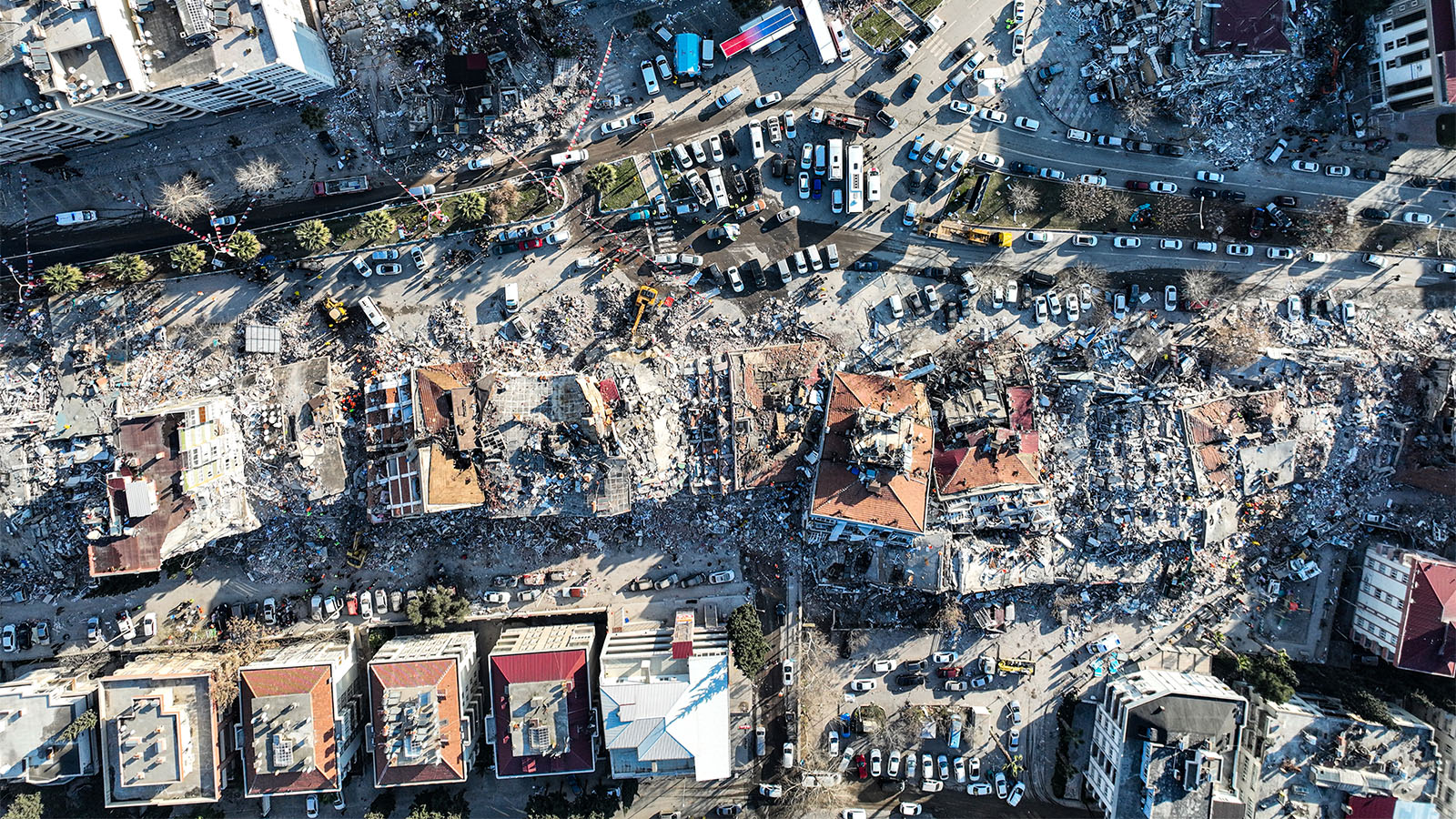 Со временем карты краснеют: сейсмолог Рубен Татевосян о последствиях землетрясений