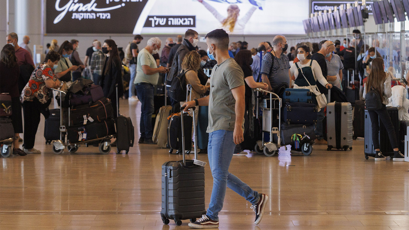Экстренная репатриация: с февраля 2022 года в Израиль переехали 50 900 граждан России