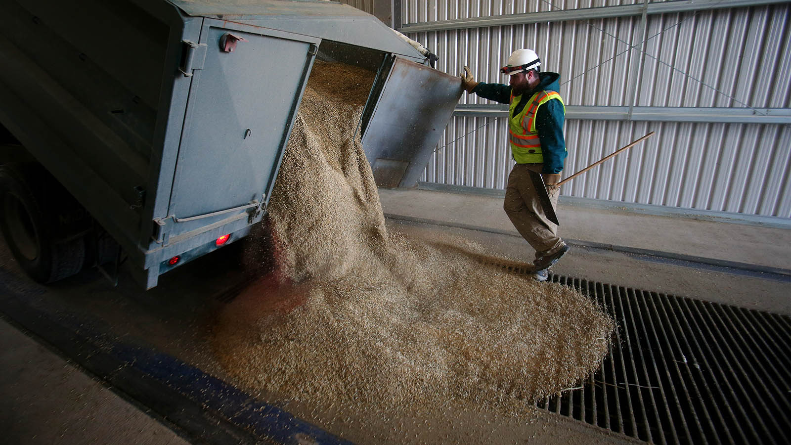 Как уход Viterra и Cargill из России скажется на экспорте зерна