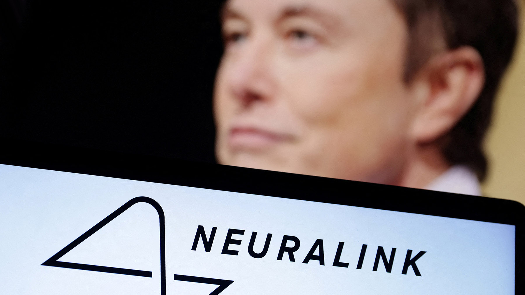 Neuralink Маска заявила о получении лицензии на клинические испытания на  людях | Forbes.ru