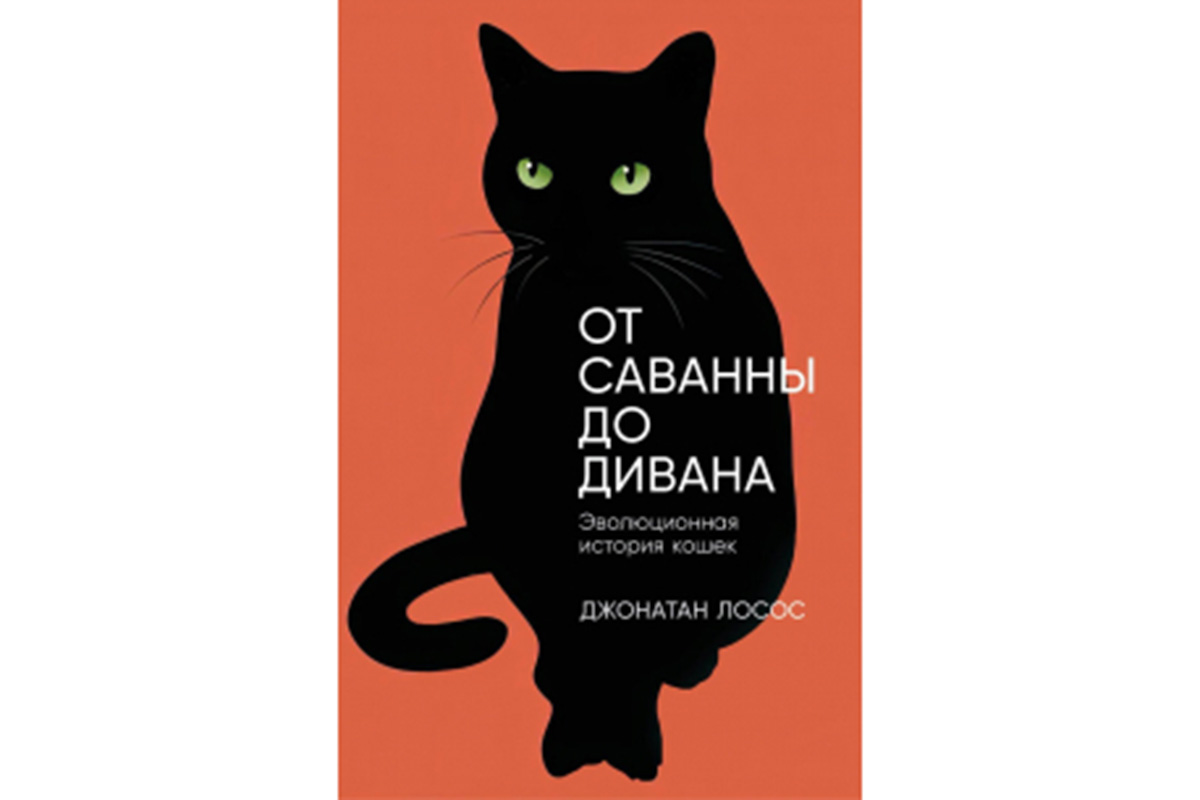 Секс в СССР и эволюция кошек: самый ожидаемый нон-фикшен зимы-весны 2024  года | Forbes Life