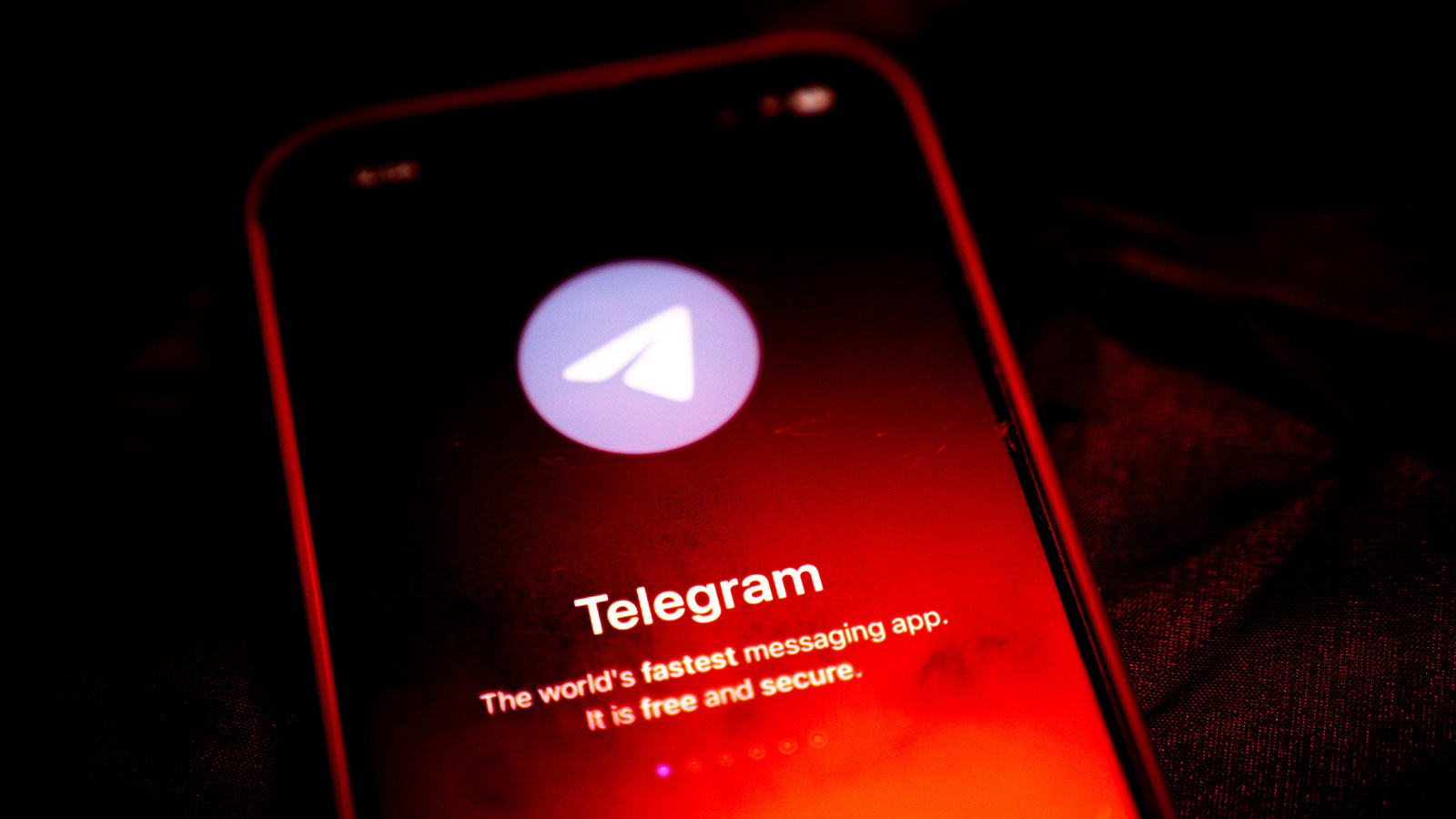 Число пользователей Telegram в России выросло до 85 млн человек | Forbes.ru