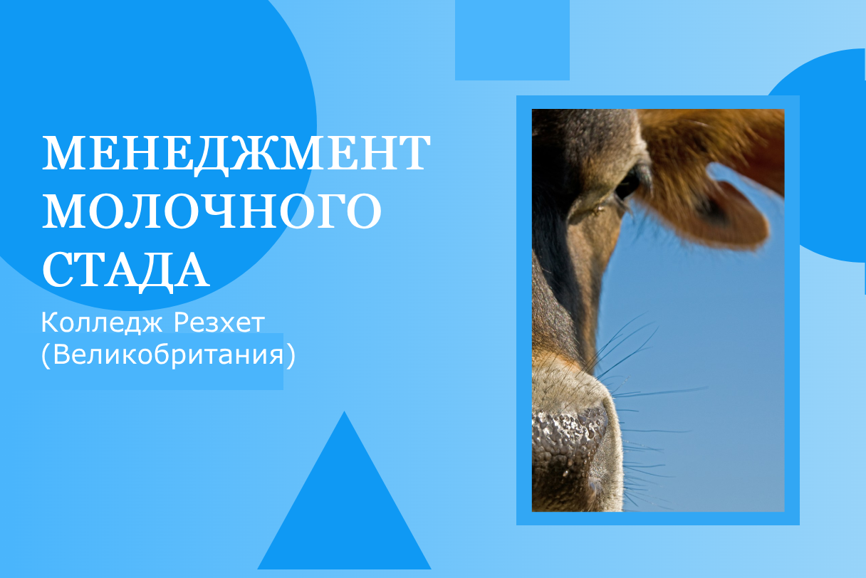 Секс, вышивка и жизнь на Марсе: 10 необычных университетских программ |  Forbes Education – обучение за рубежом и в России | Forbes.ru