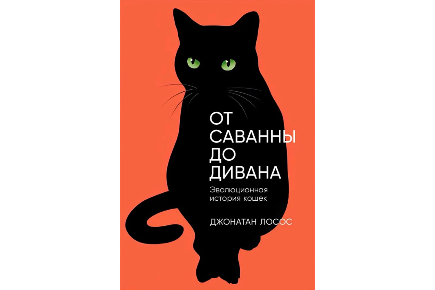 От саванны до дивана: как появились сиамские и персидские кошки | Forbes  Life