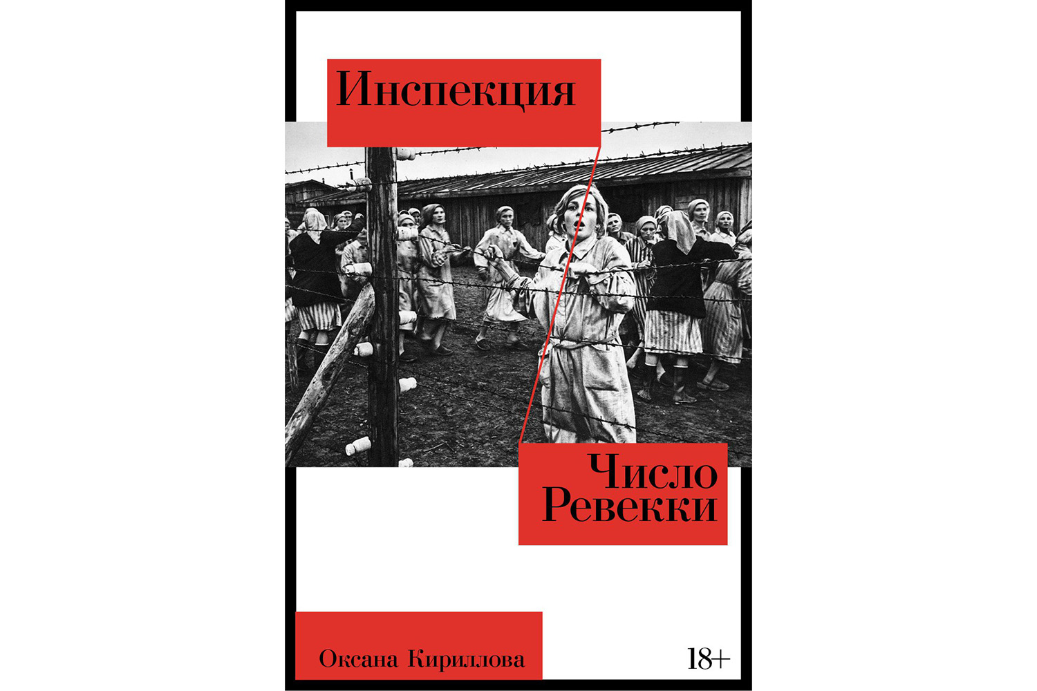 Исповедь сотрудника концлагеря и семейные тайны: главные книги лета-осени  2024 года | Forbes Life