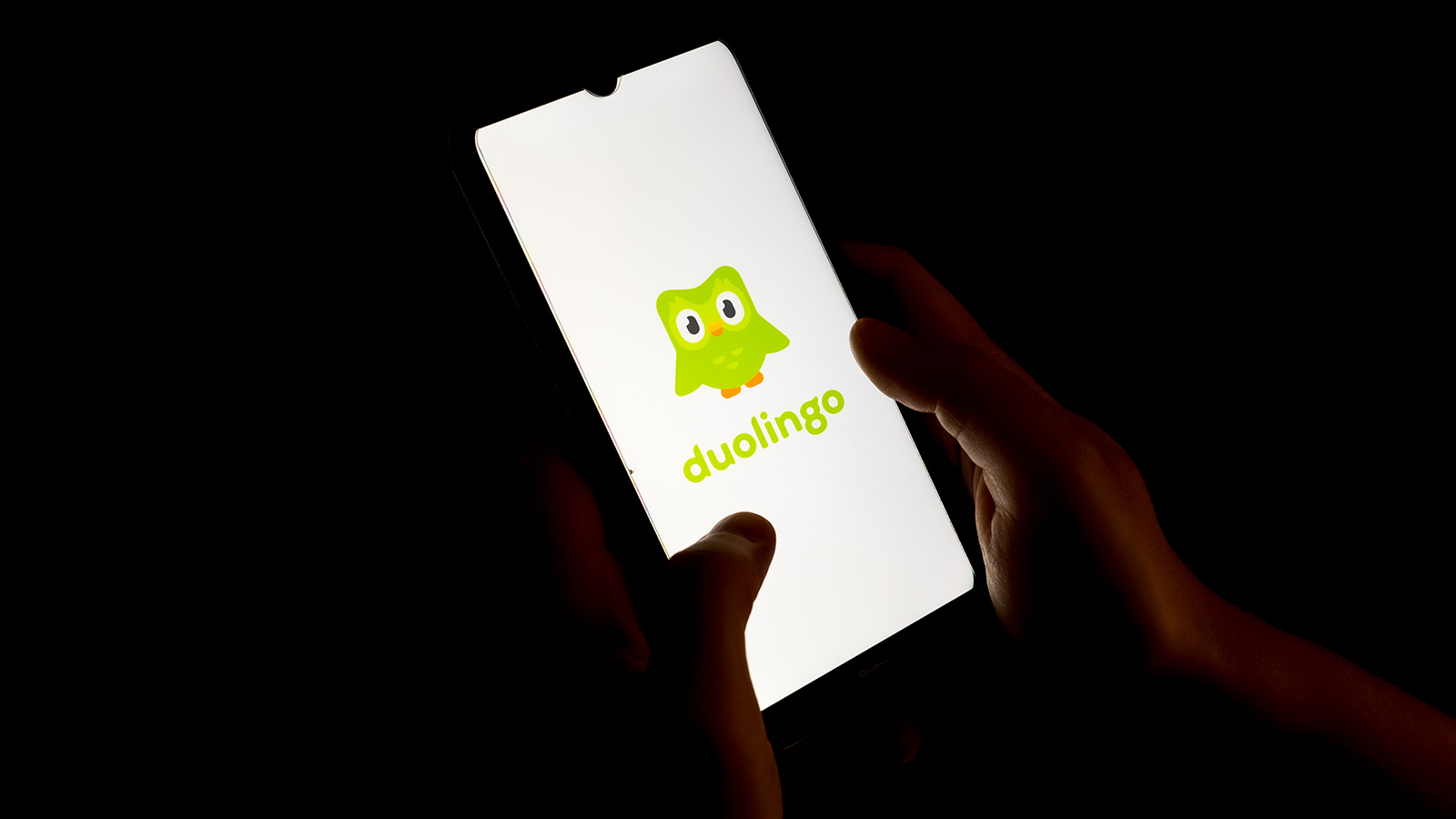 Duolingo удалил материалы с ЛГБТ-пропагандой по требованию Роскомнадзора |  Forbes Life