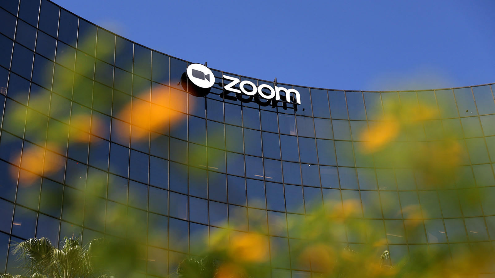 Разумное использование: Zoom продолжает набирать аудиторию в России 