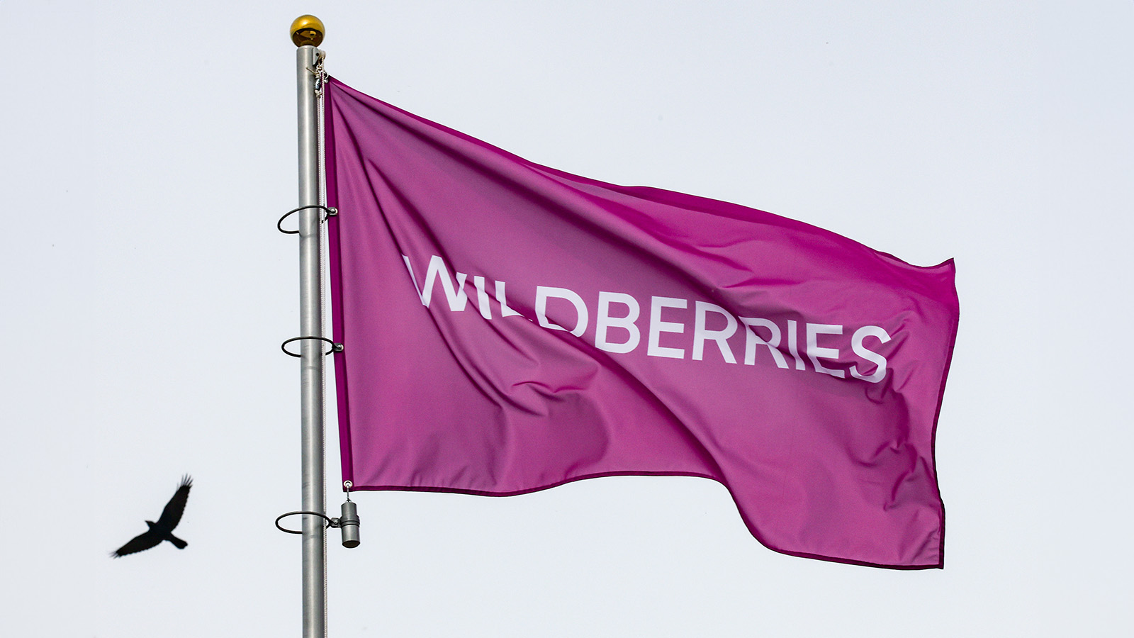 Ведомости» узнали долю зарабатывающих на Wildberries продавцов | Forbes.ru