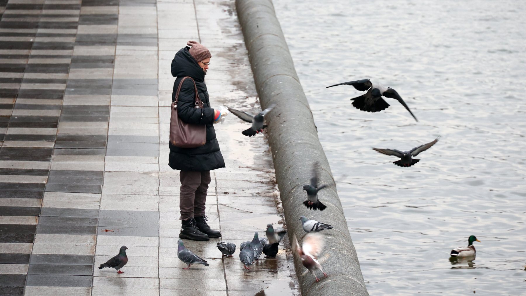 За последние 50 лет зимы в России потеплели примерно на 3 C