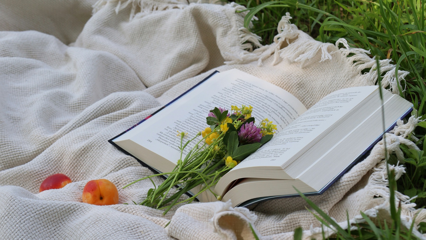 Триллер о двойниках и крах Берлинской стены: самые ожидаемые книги лета-осени  2025