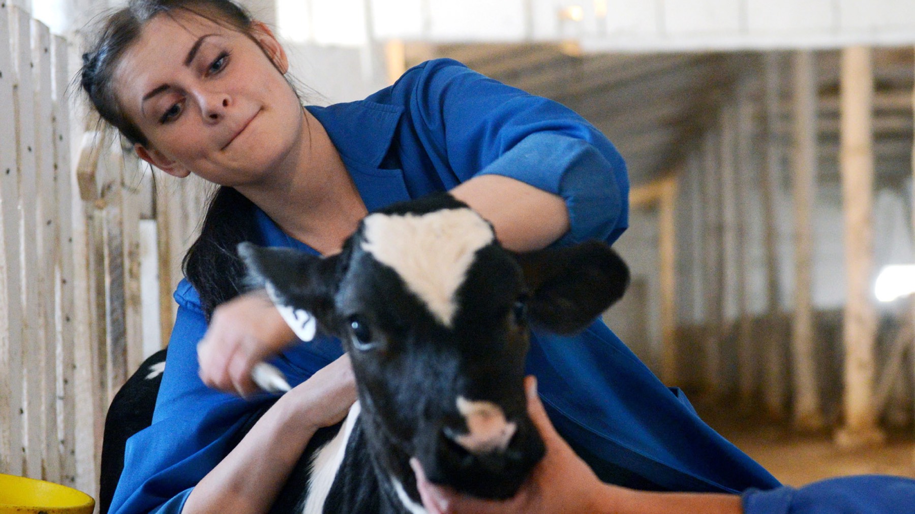 В грамм добыча, в год труды: как государство и бизнес борются за кадры в АПК - актуальные новости по теме Бизнес на Toplenta