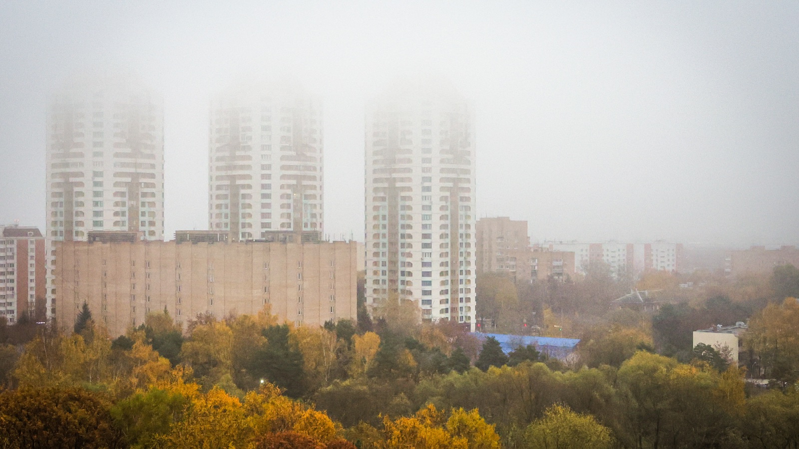 Комитет ГД попросил распространить семейную ипотеку на весь вторичный рынок жилья