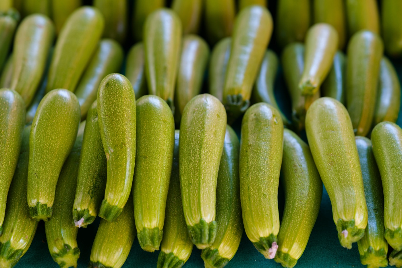 Кабачки подешевели на 40%