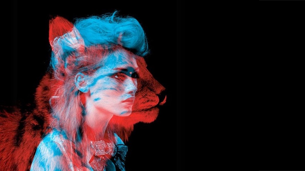 Природа зверя: как включить у мухи агрессию и при чем тут человеческие эмоции