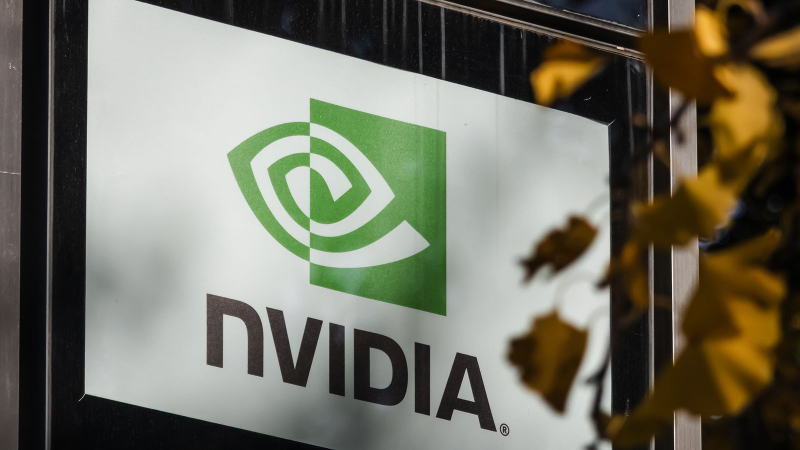 Игры брокеров, риски россиян, Nvidia против Бьюрри: главные события мировых рынков