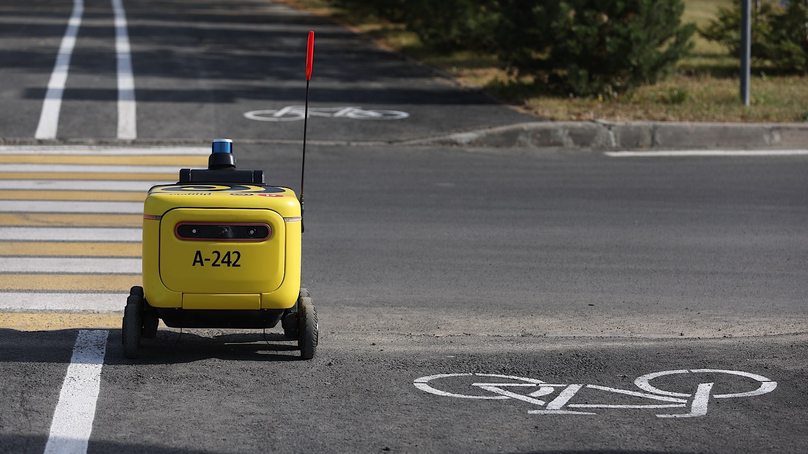 Катализация капитализации: ИИ может удвоить рыночную оценку «Яндекса» - похожая новость на Toplenta