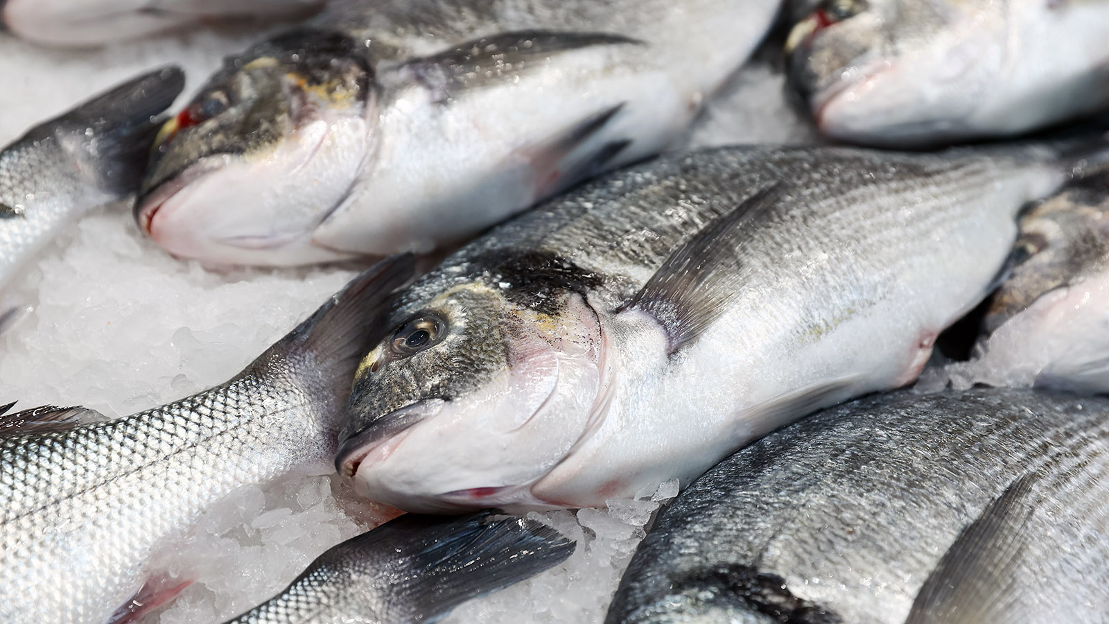 И хочется, и колется: что происходит с ценами на рыбу в России
