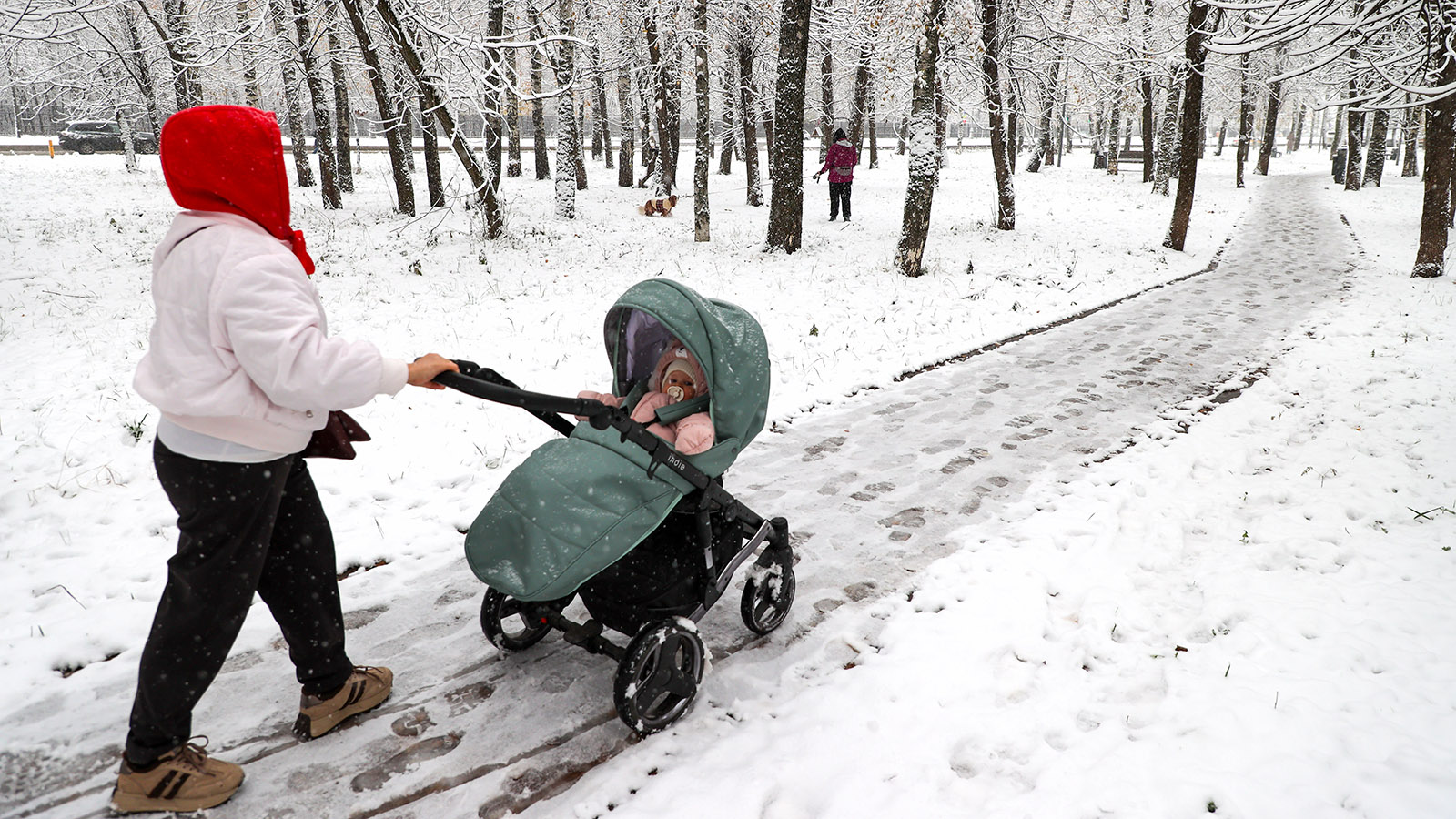 Госдума приняла закон о выплатах детям, зачатым путем ЭКО после смерти отца