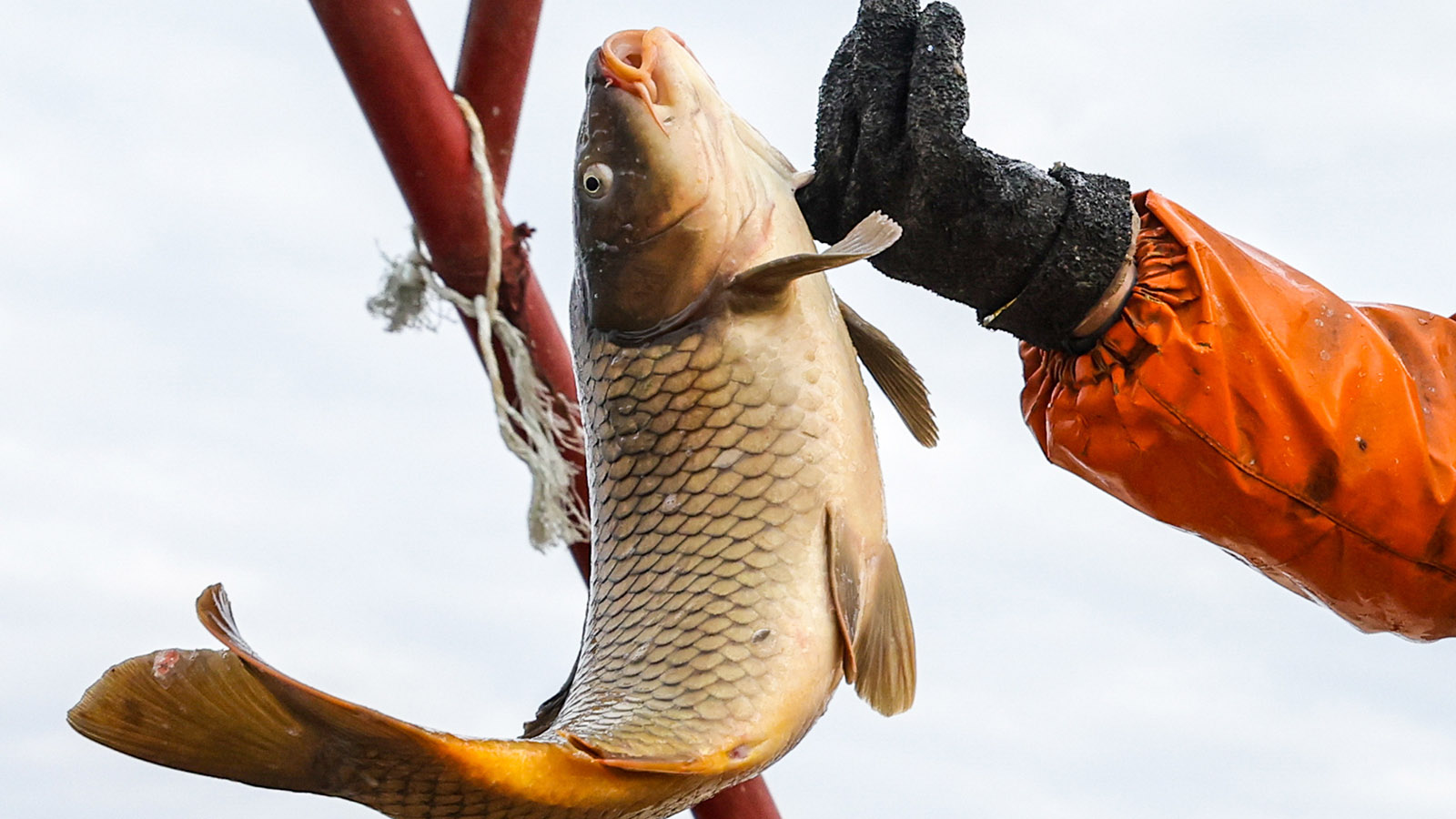 Как рыбке зонтик: что не так с идеей принудительно направить моряков на биржу