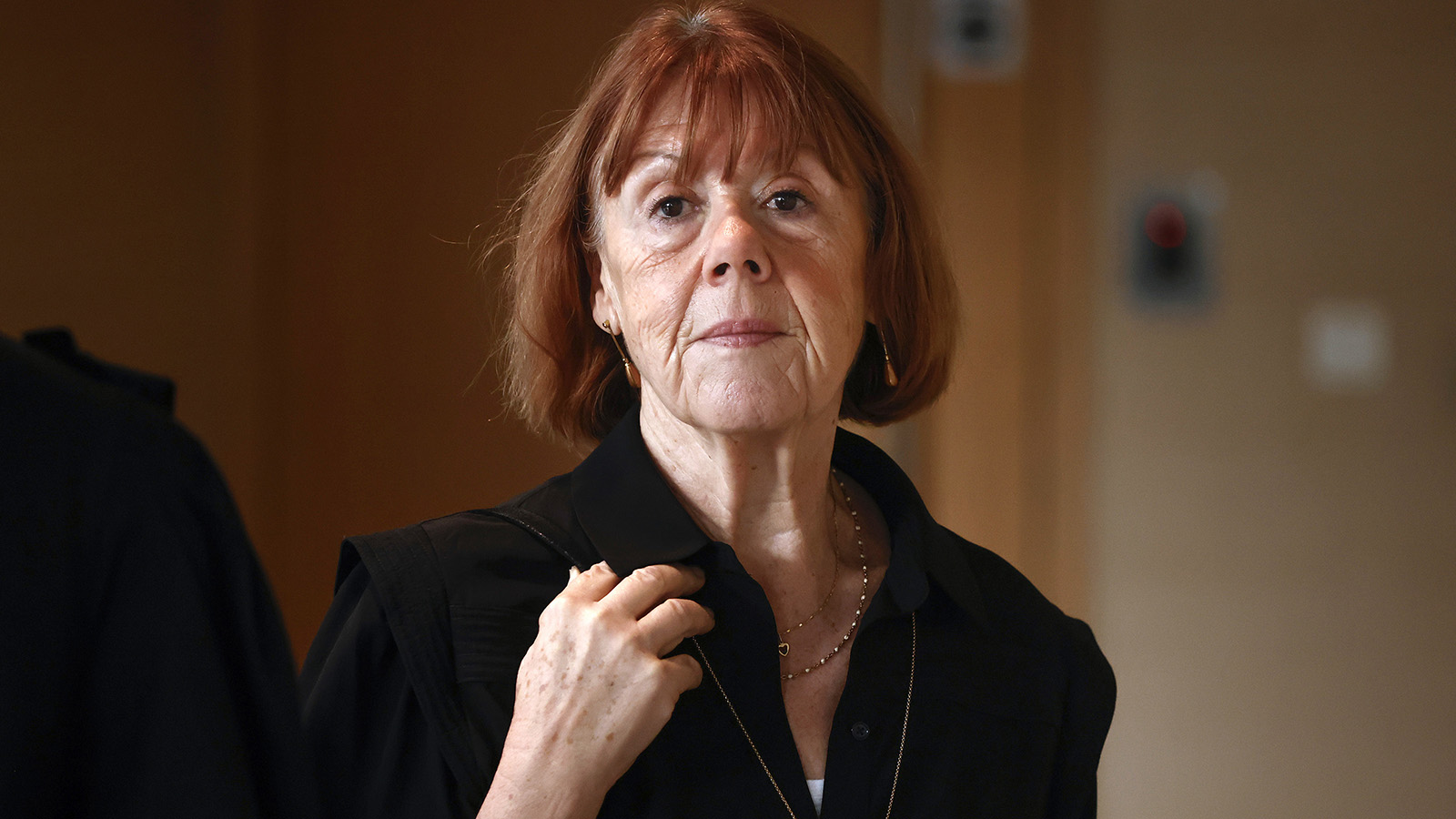 Осужденный за организацию изнасилований жены Пелико ищет издателя своей биографии