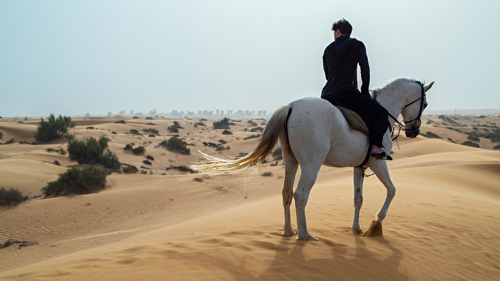 По коням: гороскоп миллиардеров на 2026 год