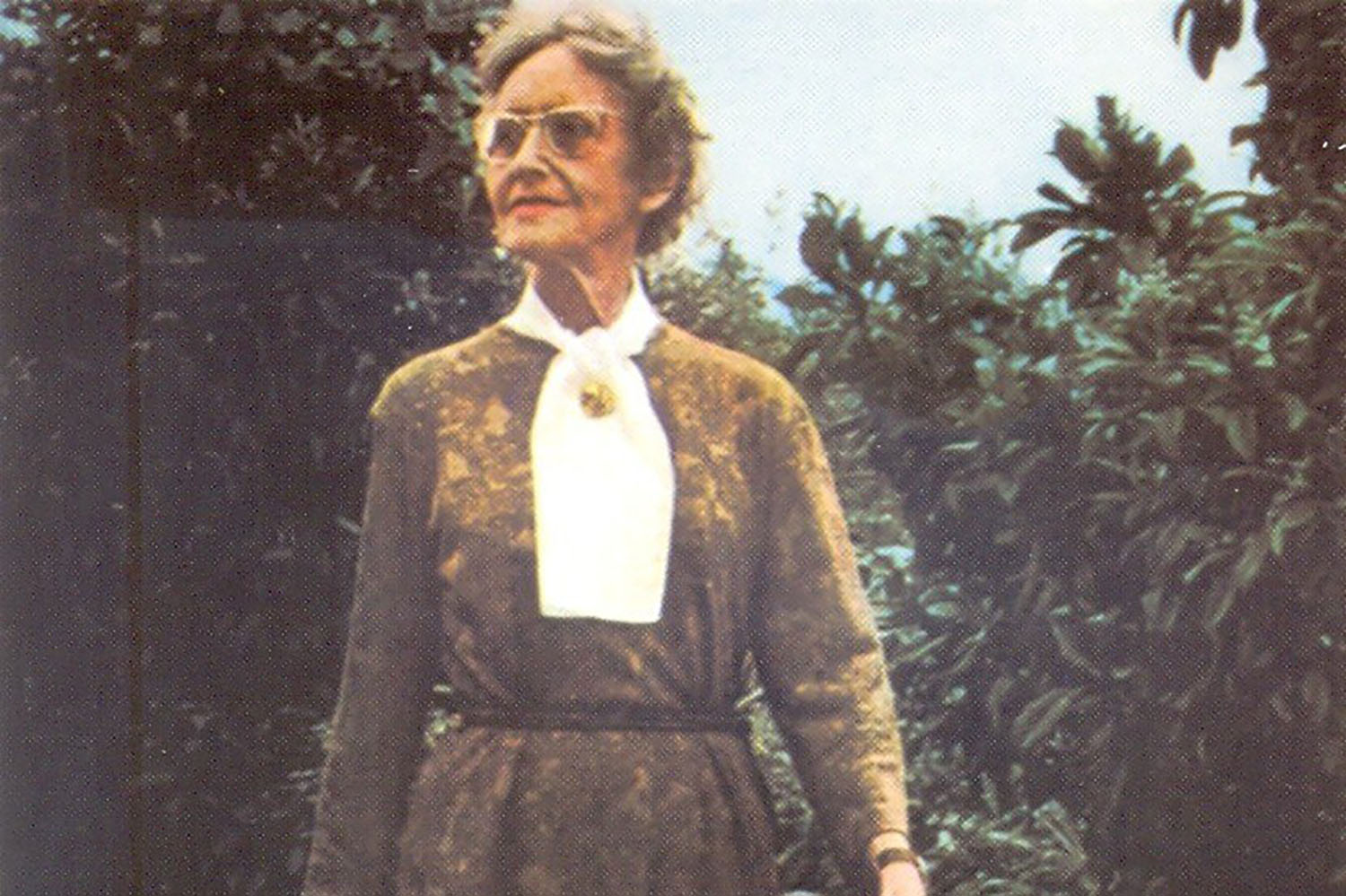 Елена Антипова