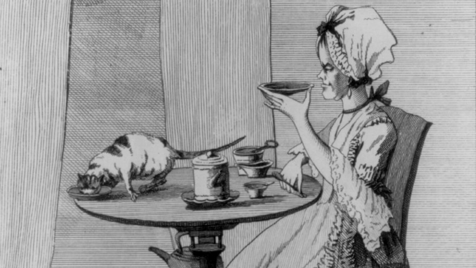 Презрение и свобода: как в викторианскую эпоху менялось отношение к старым девам