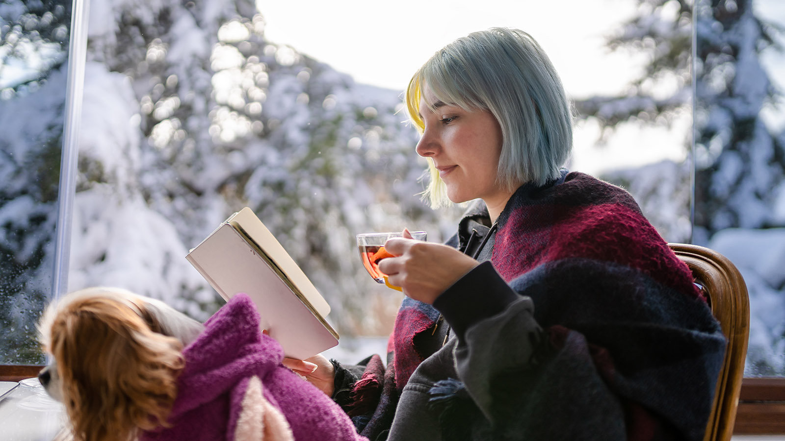 Любовь под омелой, Лесной тропой и Жажда зимы: пять книг о зиме как явлении