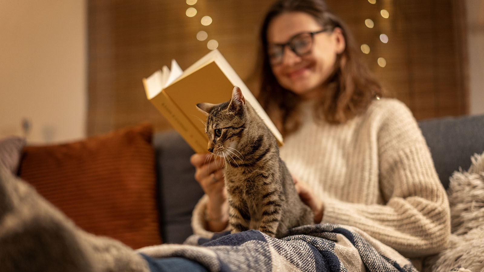 Коты, книги, семейные обстоятельства: пять сборников рассказов для новогодних каникул