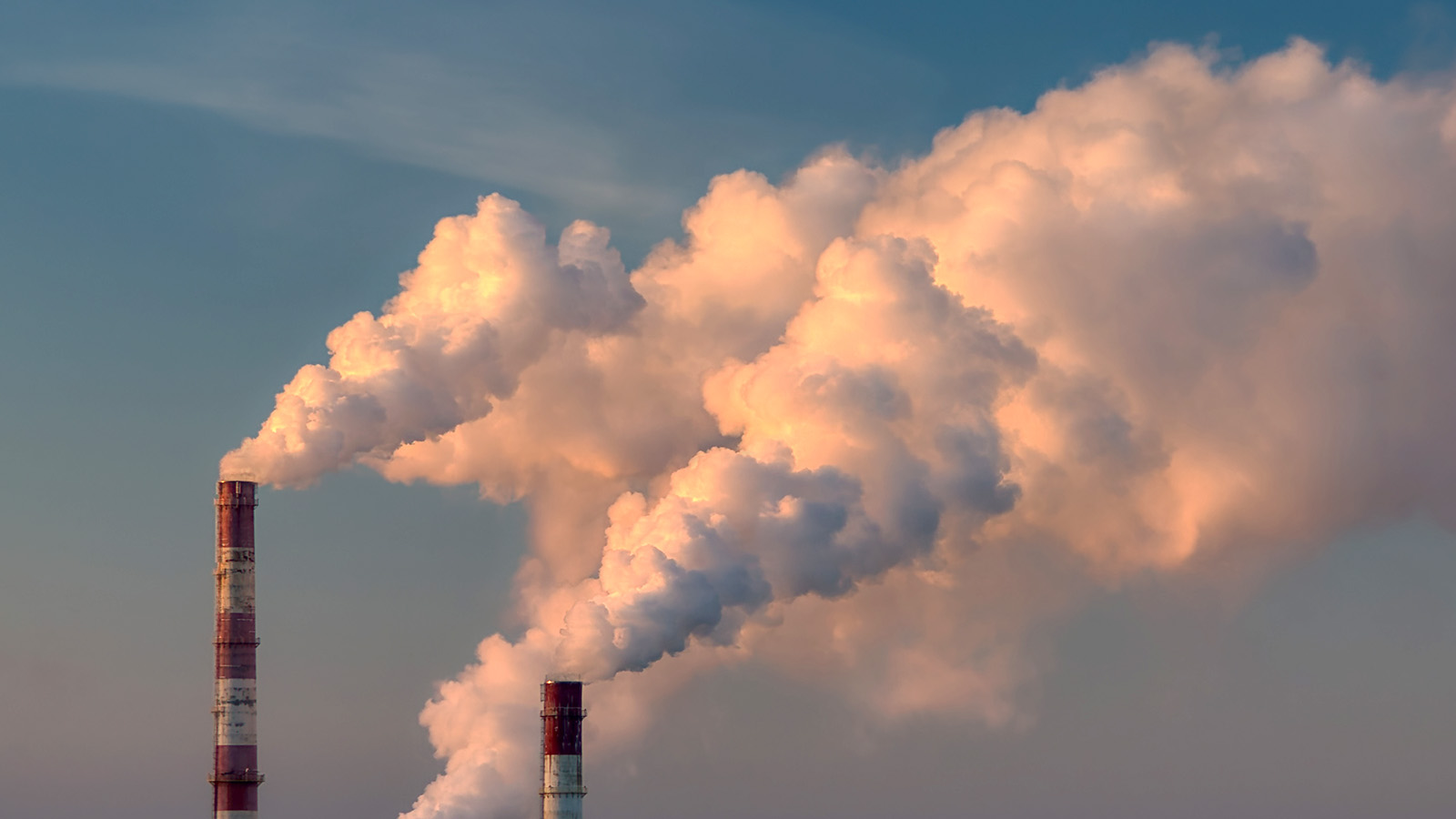 Новая валюта: как компании смогут зарабатывать на глобальном рынке углеродных единиц