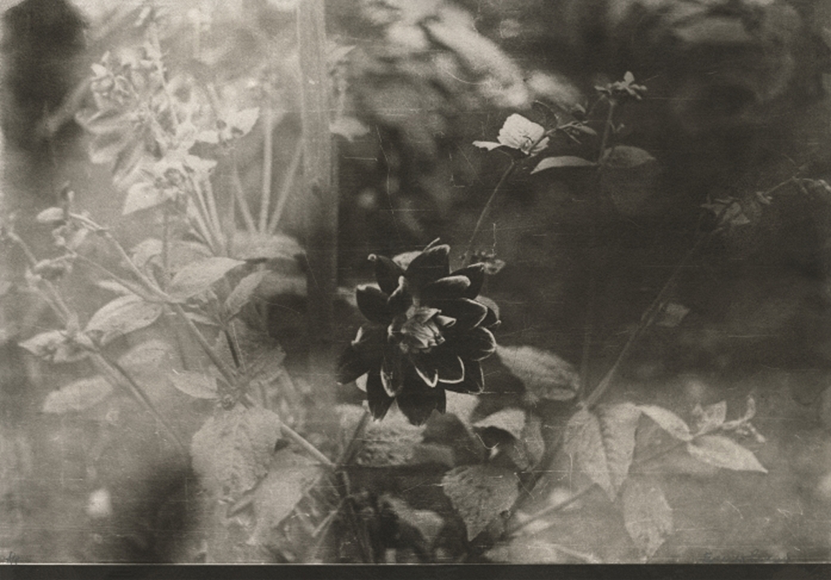 Выставка «Алексей Веселовский. Река времени» в МАММ