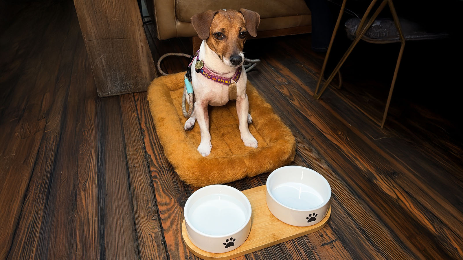 Футболки для людей с СДВГ и утилизация новогодних елок: социальные проекты недели