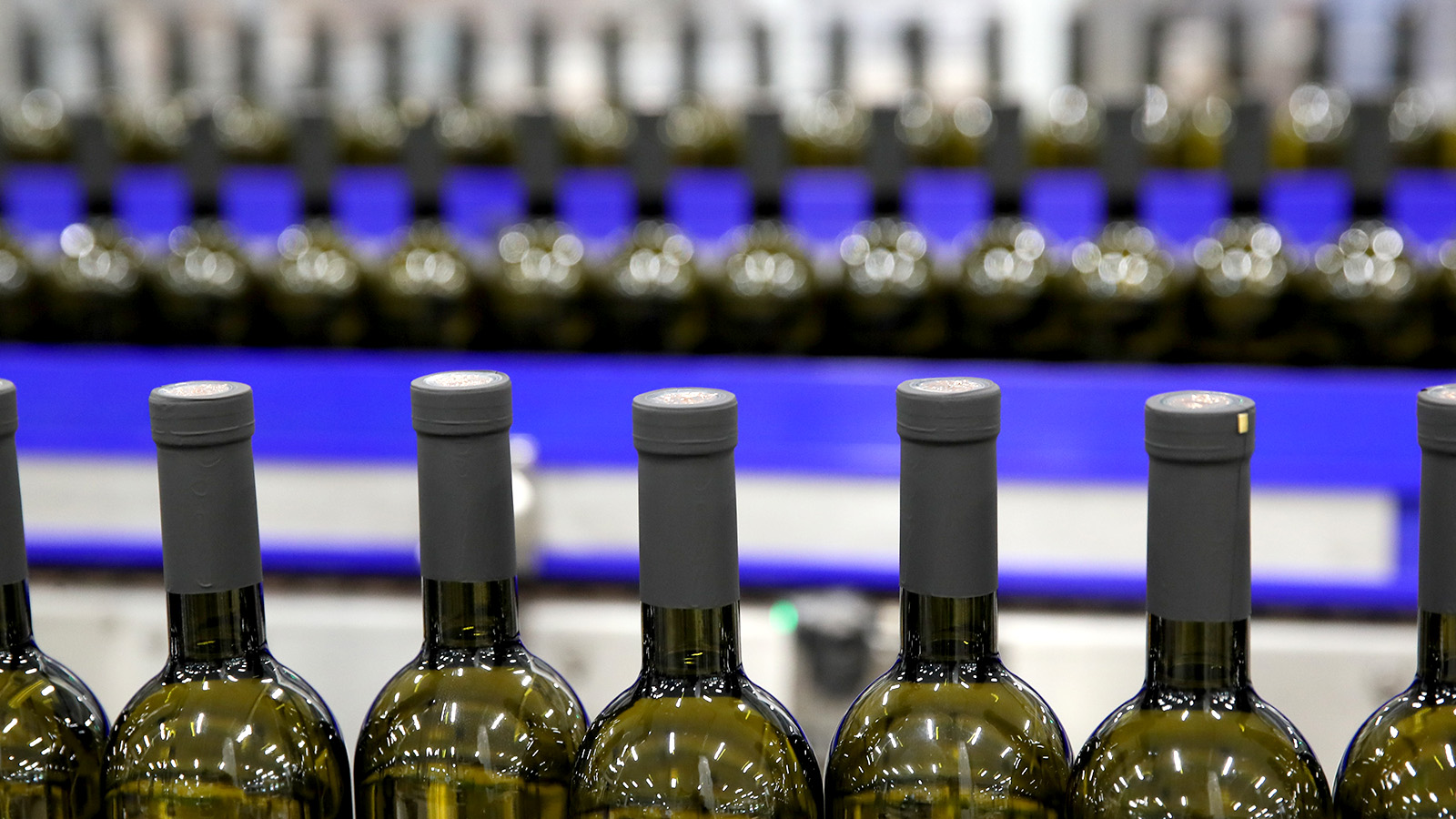 Винный дом Фанагория переходит на солнечную электроэнергию