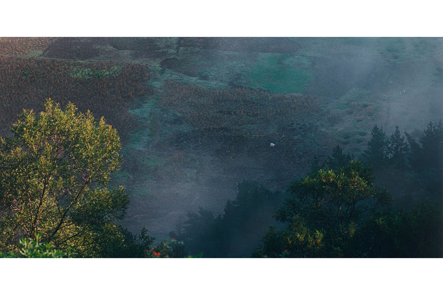 Выставка «Самое красивое место, где я когда-либо был» в галерее «Виктория»